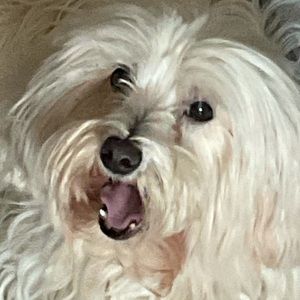 Meet your Posher, Cindy